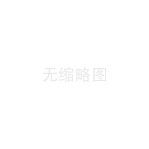 专业IT服务对企业发展的深远影响